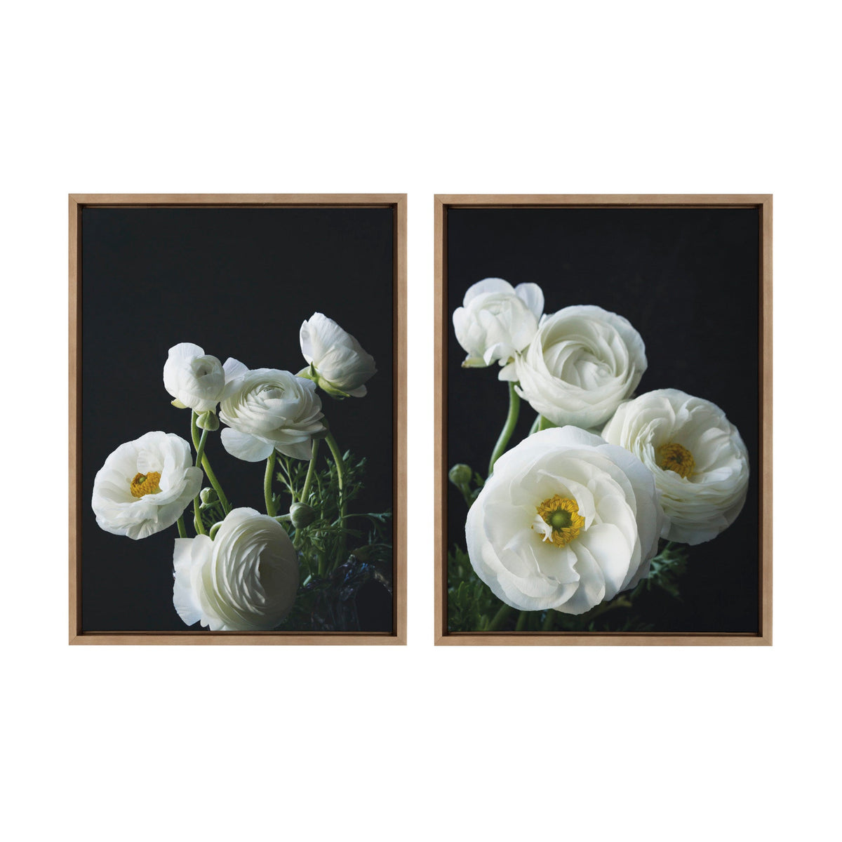 Sylvie White Ranunculus Framed Canvas Set of 2 by Emiko and Mark Franzen of F2Images