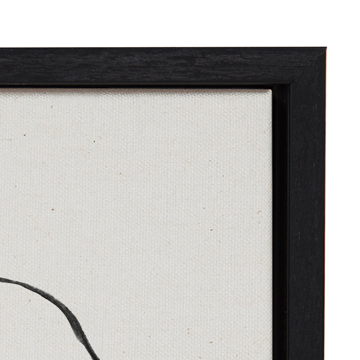 Sylvie Going in Circles Framed Textured Canvas Set of 2 by Teju Reval of SnazzyHues