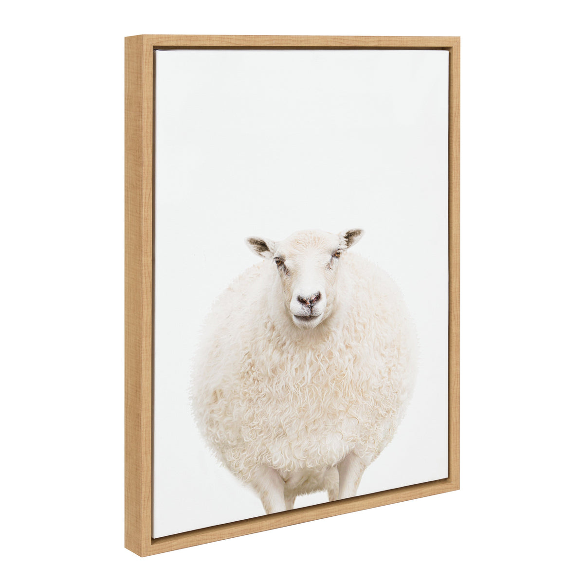 Sylvie Round Sheep Portrait Framed Canvas by Amy Peterson Art Studio