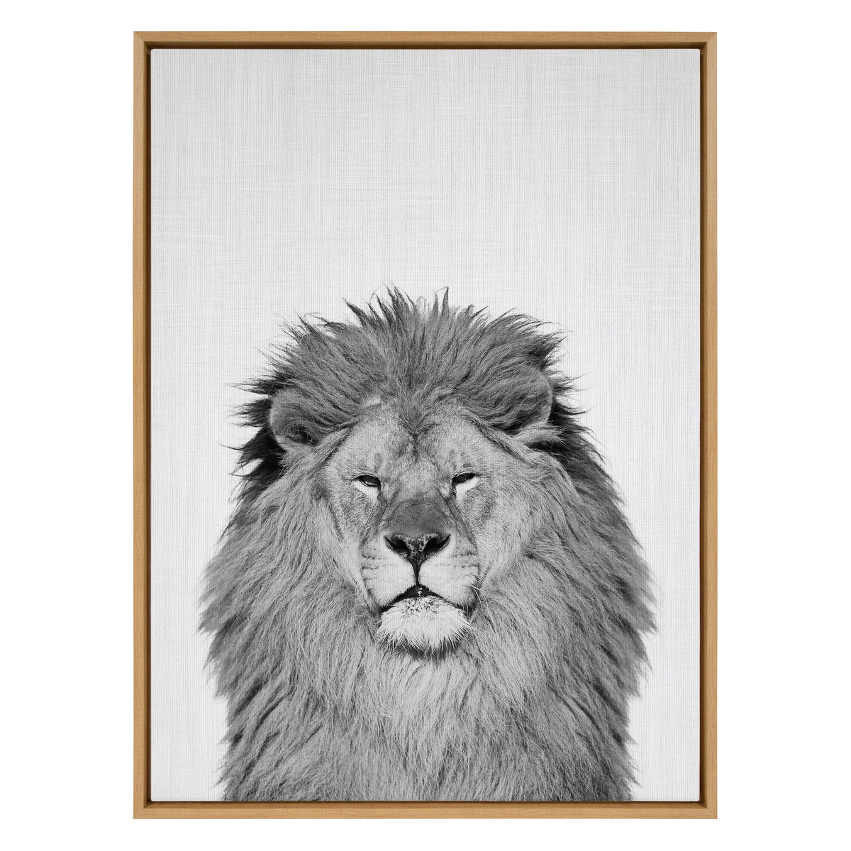 Sylvie Lion Framed Canvas by Simon Te Tai