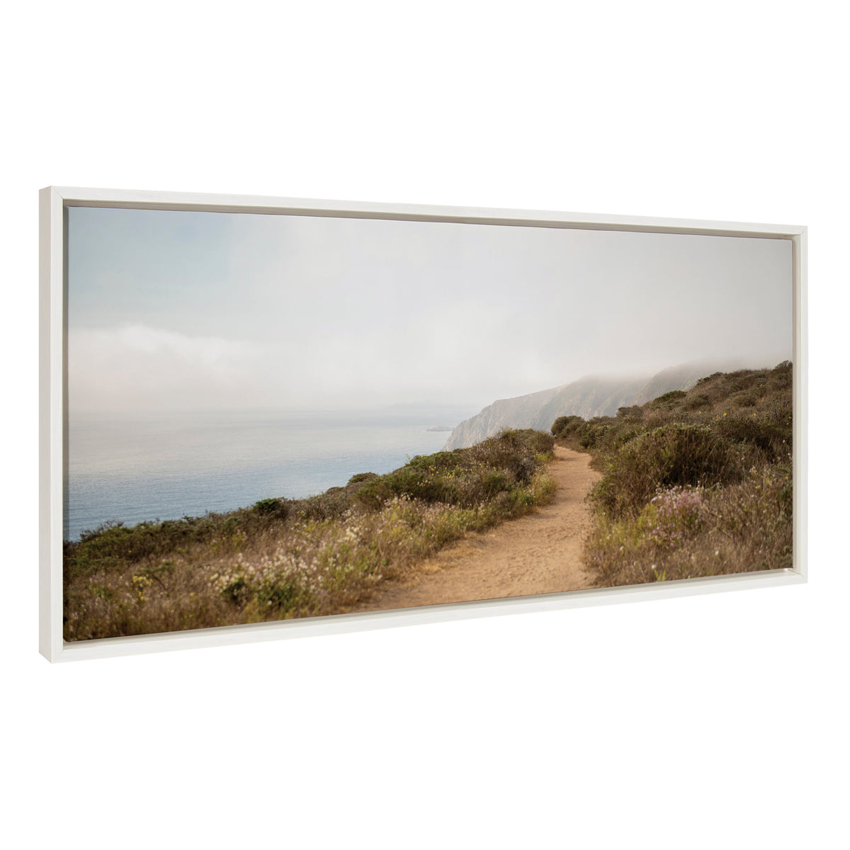 Sylvie Wild Coast No 4 Framed Canvas by Crystal Lynn Collins
