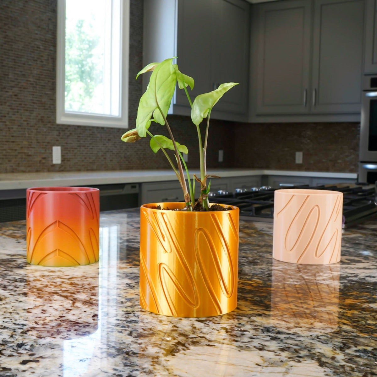 Double Rainbow Planter