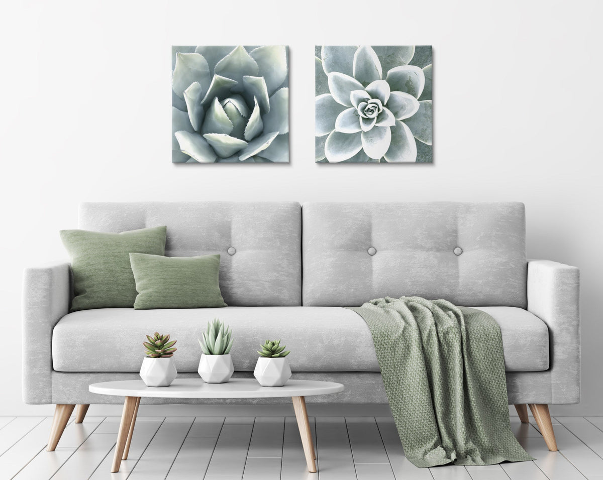 Soft Botanical Succulents Wall Art Set of 2 by The Creative Bunch Studio