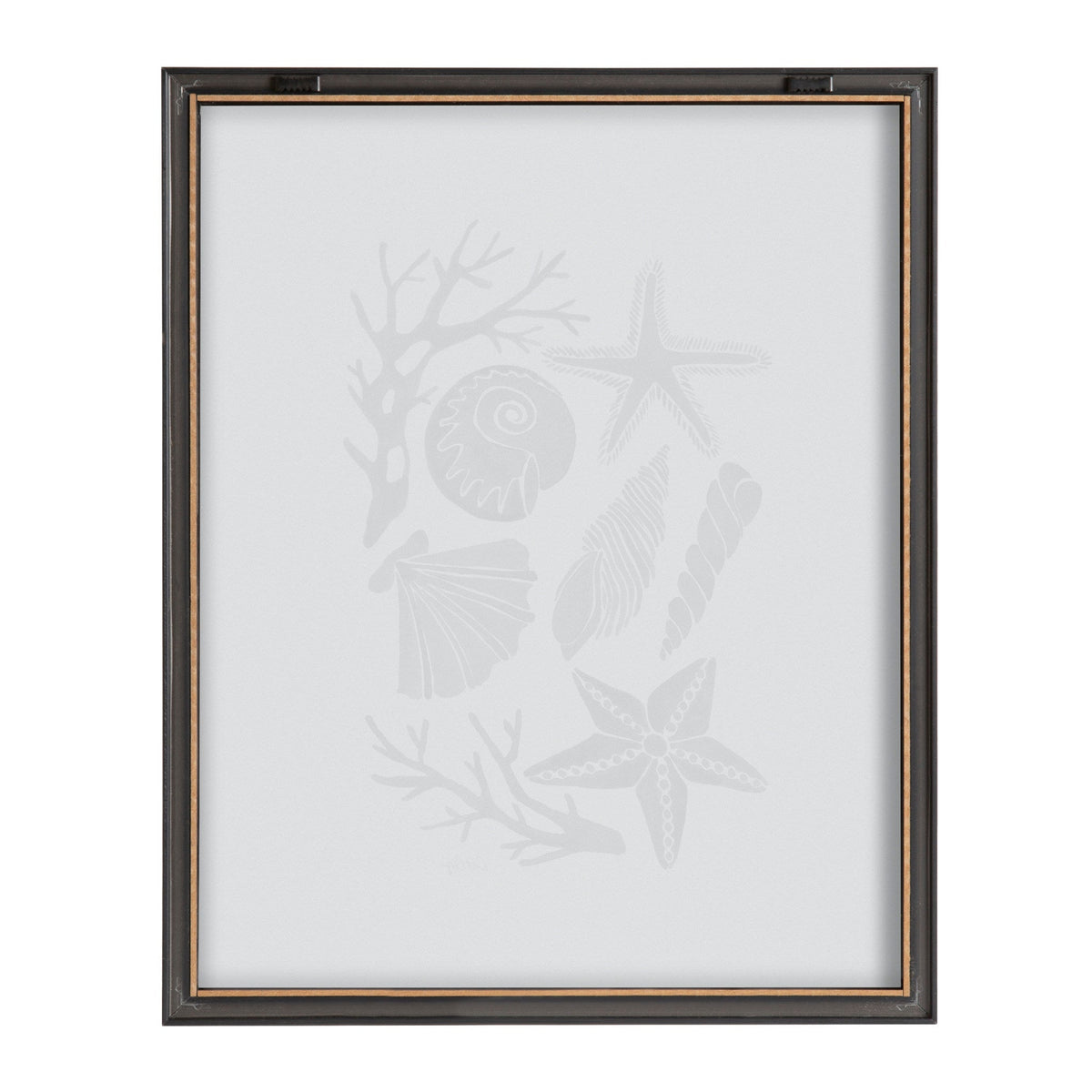 Blake Seashells Black Framed Printed Glass by Cat Coquillette