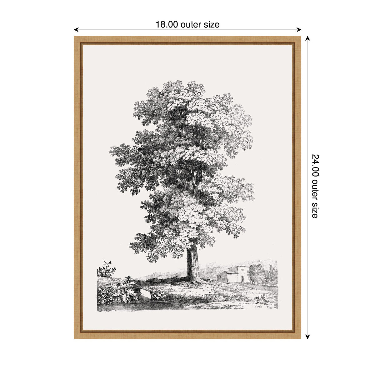 Sylvie Jean Victor Bertin Study of a Tree 1816 Framed Canvas by The Art Institute of Chicago