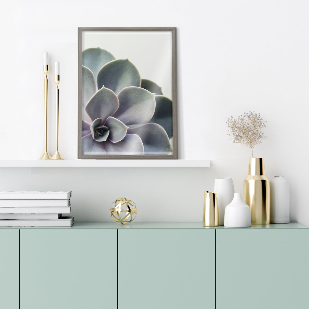 Blake Succulent 5 Framed Printed Glass by Emiko and Mark Franzen of F2Images