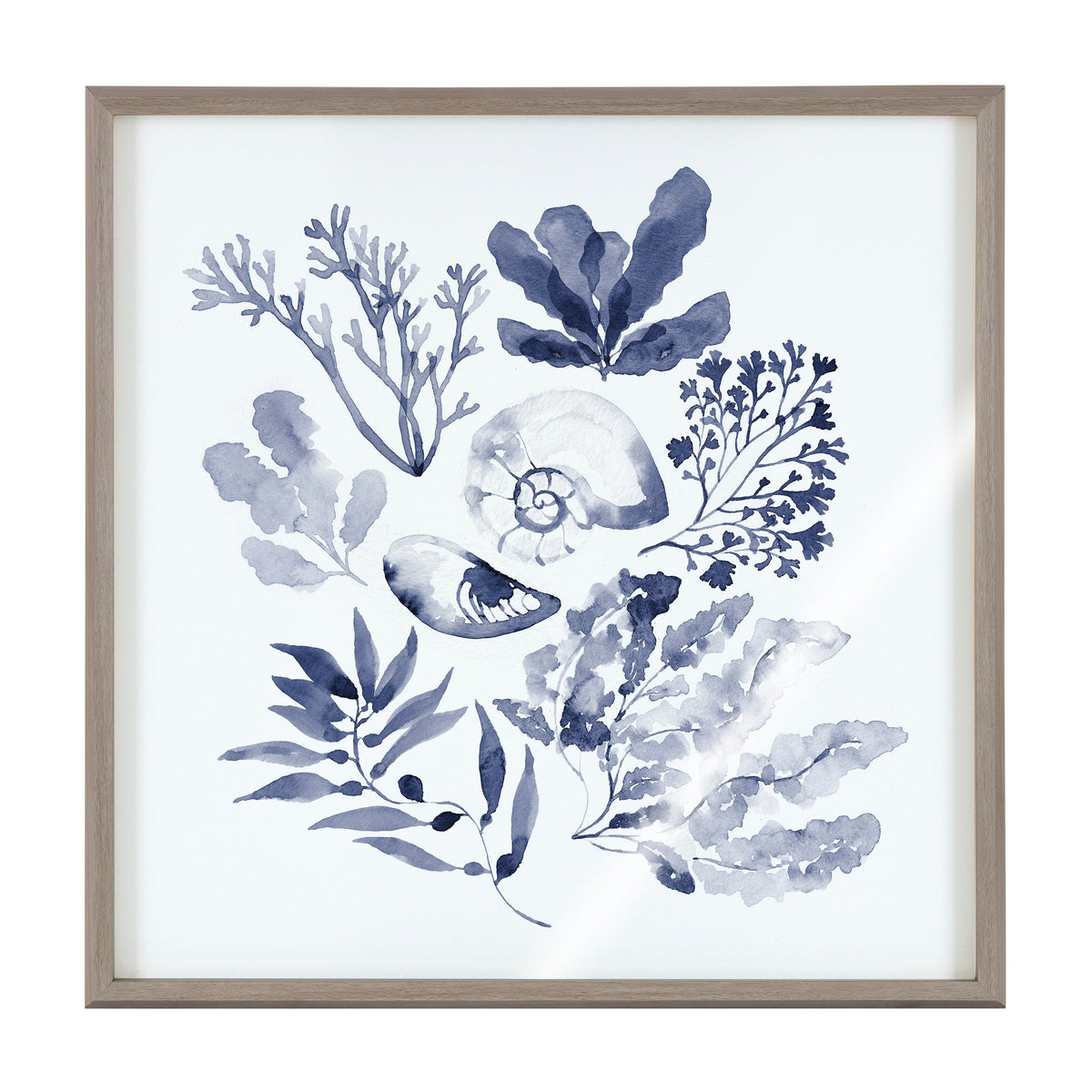 Blake Indigo Shells Framed Printed Acrylic by Sara Berrenson
