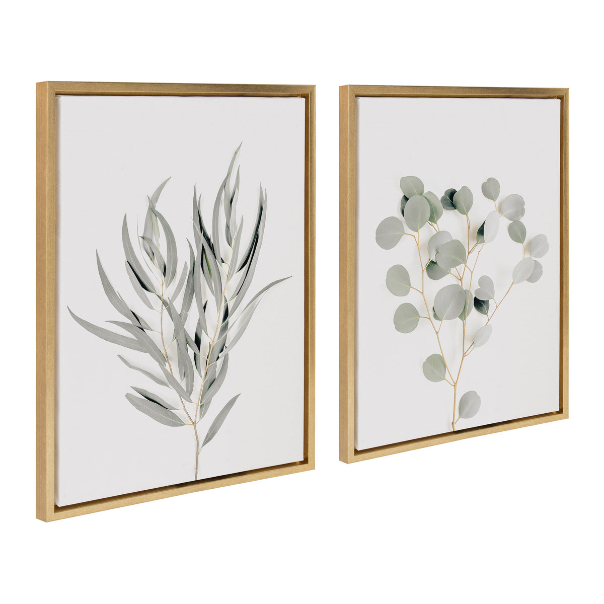 Sylvie Neutral Botanical 1 and 2 Framed Canvas Set of 2 by The Creative Bunch Studio
