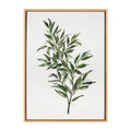 Sylvie Ruscus Framed Canvas by Patricia Shaw