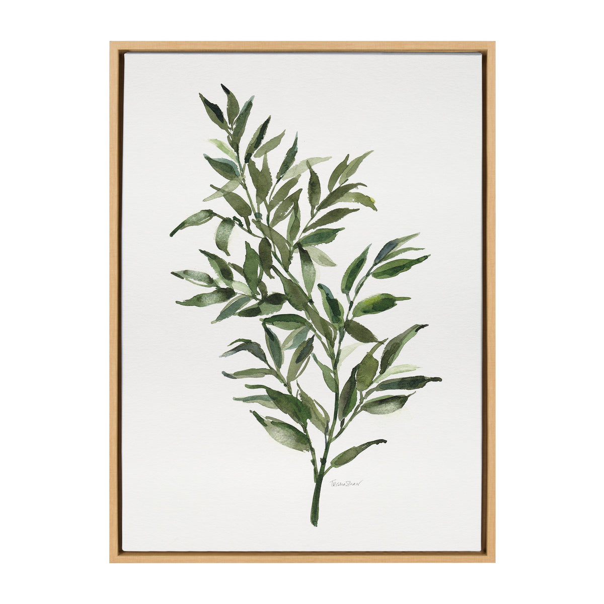 Sylvie Ruscus Framed Canvas by Patricia Shaw