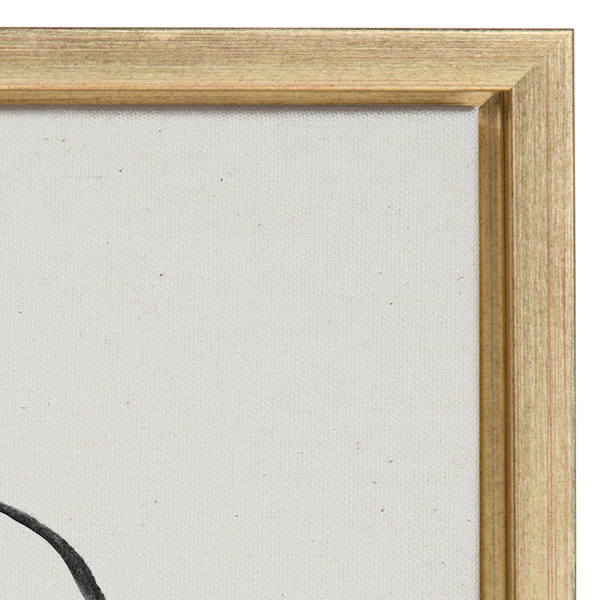 Sylvie Going in Circles Framed Textured Canvas Set of 2 by Teju Reval of SnazzyHues