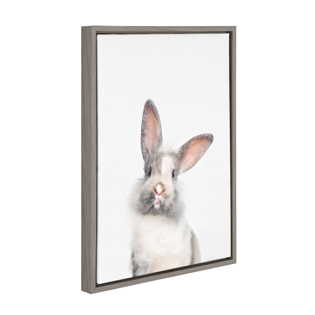 Sylvie Animal Studio Cute Male Rabbit Framed Canvas by Amy Peterson Art Studio