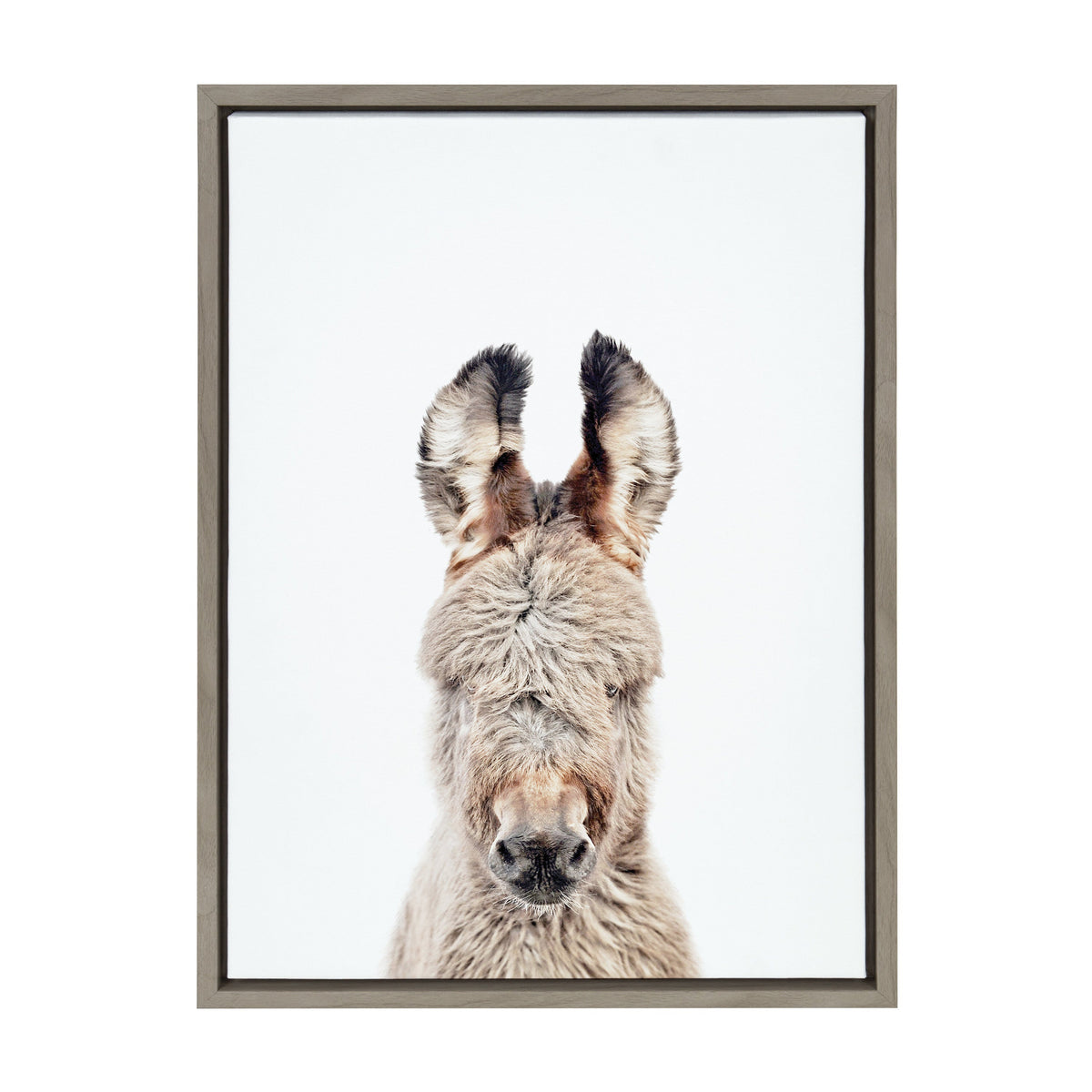 Sylvie Animal Studio Burro Portrait Framed Canvas by Amy Peterson Art Studio