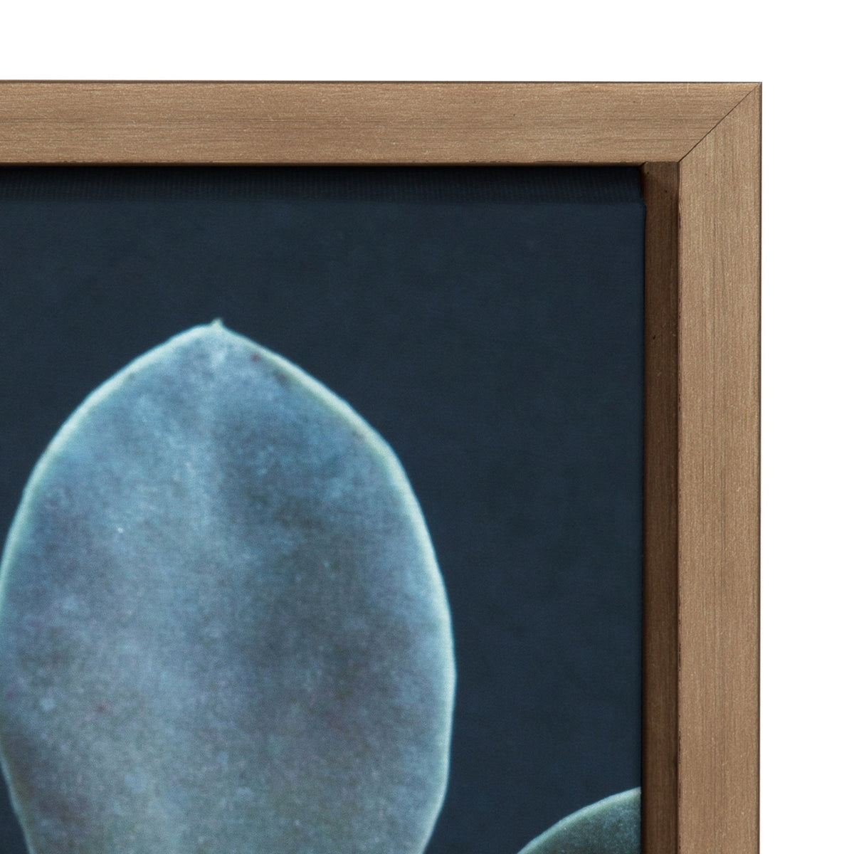 Sylvie Little One Framed Canvas by F2Images
