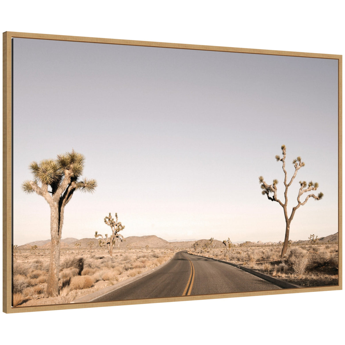 Driving Joshua Tree No. 3 by Alicia Bock Framed Canvas Wall Art Print