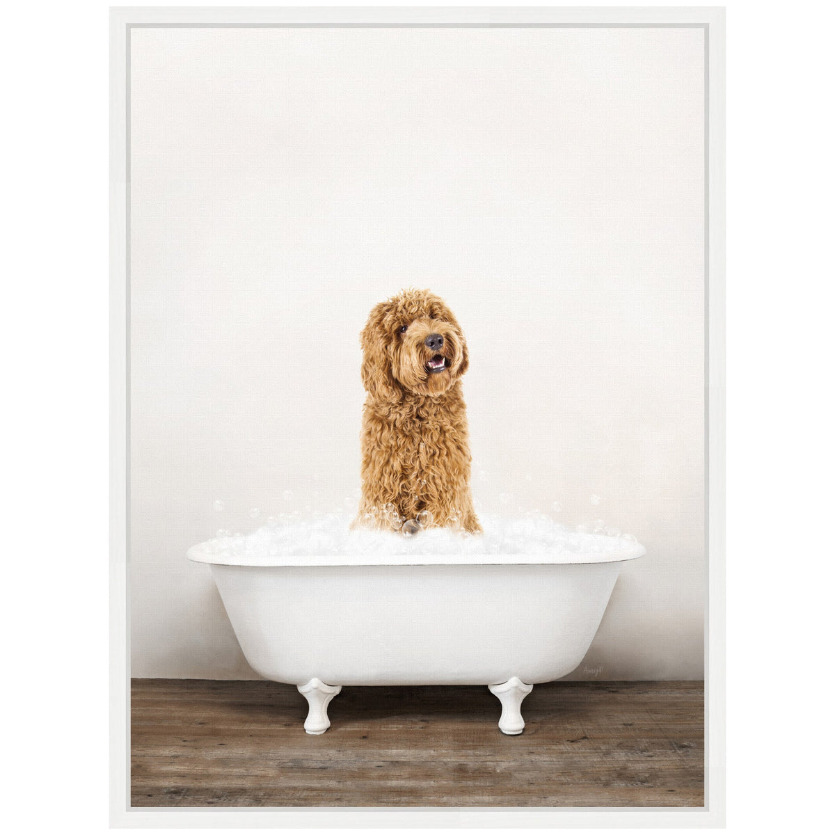 Sylvie Golden Labradoodle in Rustic Bath Style Framed Canvas by Amy Peterson