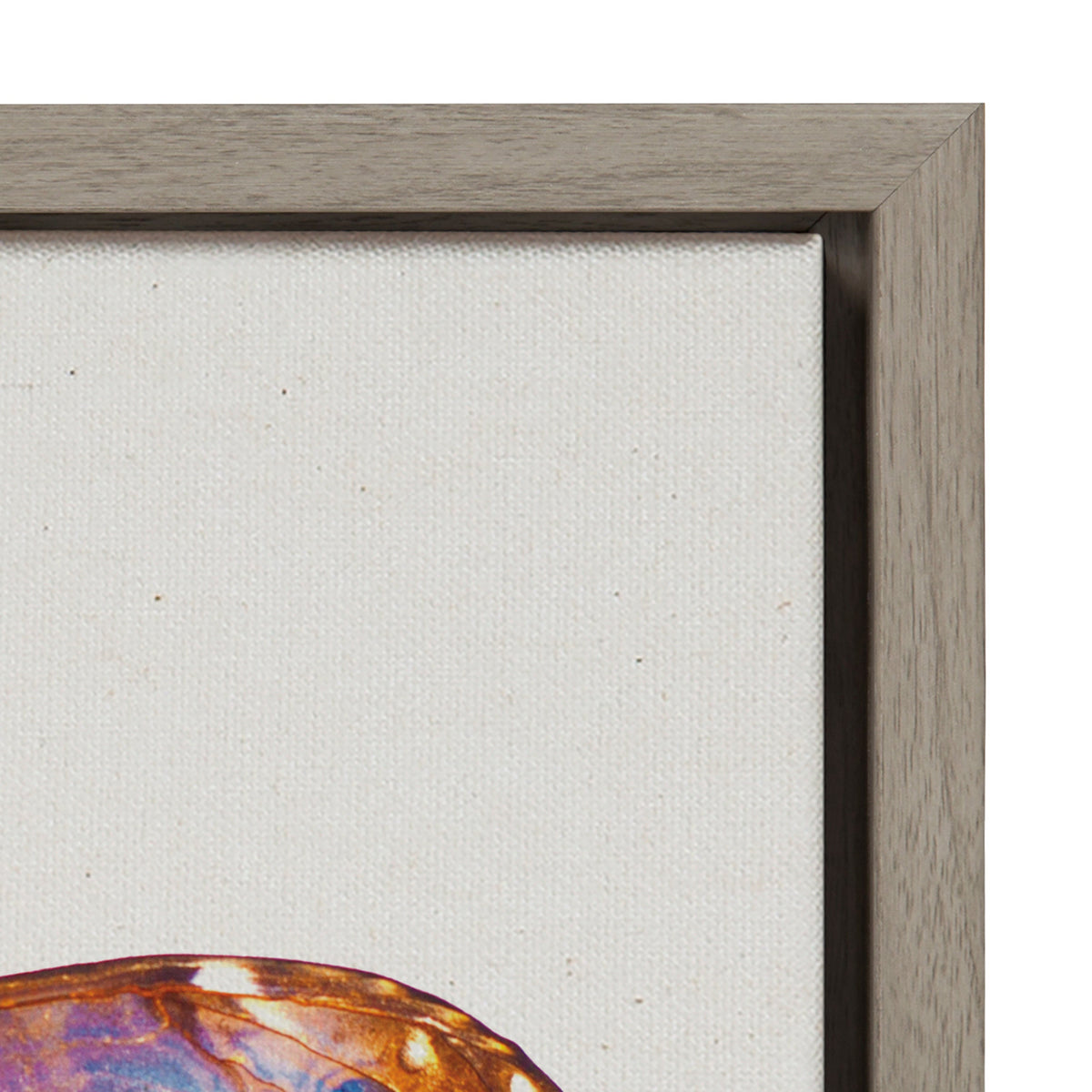 Sylvie Coppertop Butterfly Framed Canvas by Robert Cadloff of Bomobob