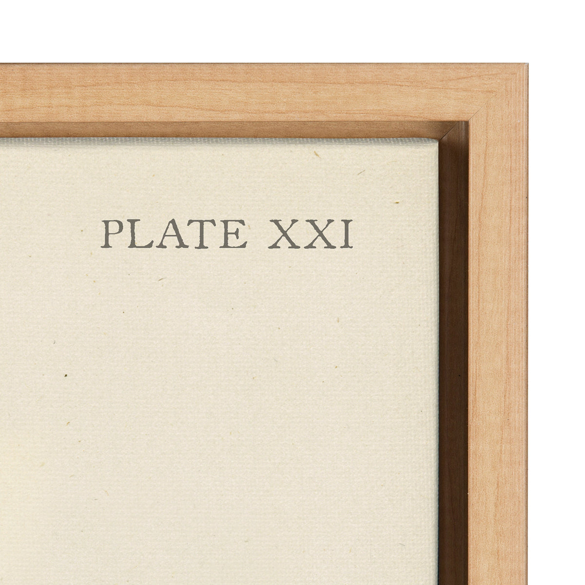 Sylvie Ferns Framed Canvas Set of 2 by Corinna Buchholz of Piddix