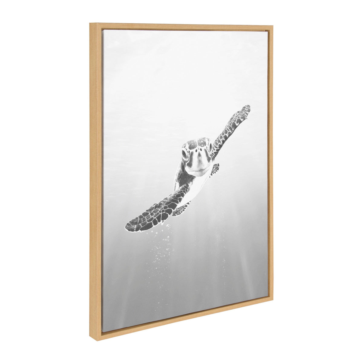 Sylvie Sea Turtle, Turtle Family and MCM Sea Turtle Framed Canvas Art Set of 3 by Various Artists