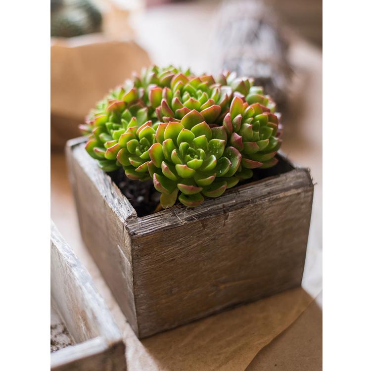 Solid Wood Table Box Set, 4 Pieces
