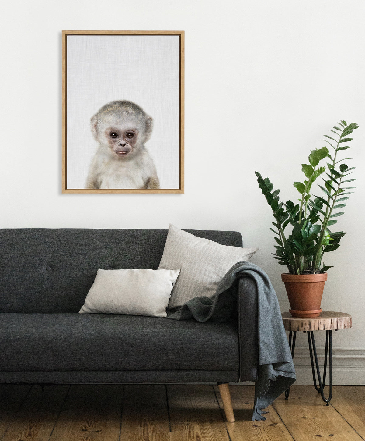 Sylvie Monkey Color Framed Canvas by Simon Te of Tai Prints