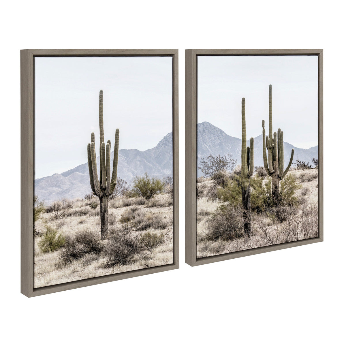 Sylvie Tall Saguaro Cacti Desert Mountain Framed Canvas Set of 2 by The Creative Bunch Studio