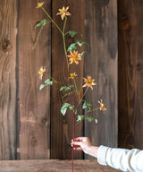 One Stem