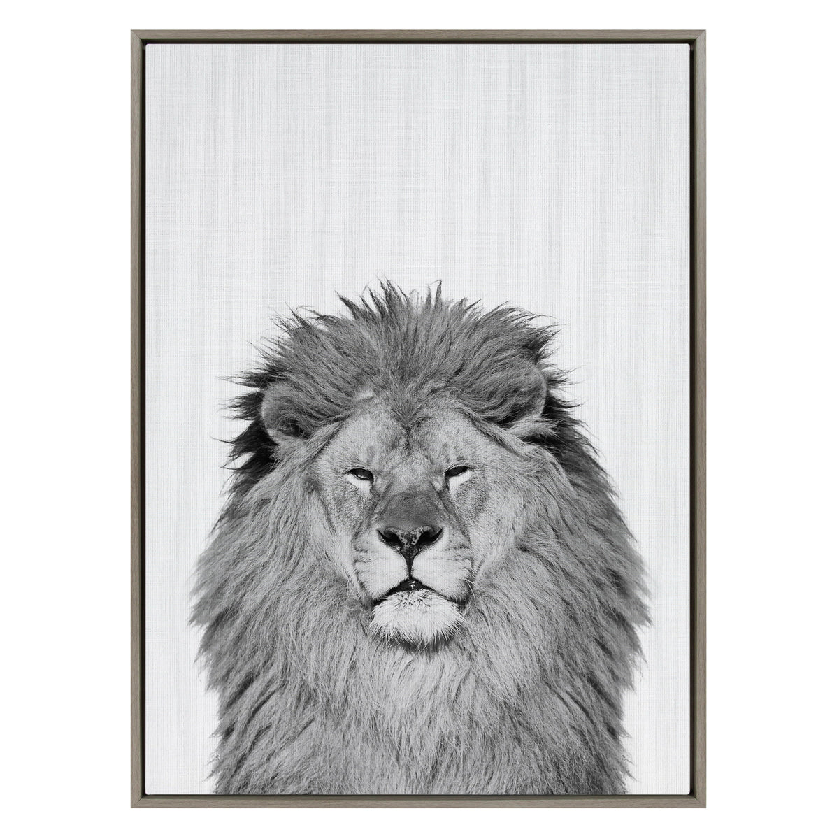 Sylvie Lion Framed Canvas by Simon Te Tai