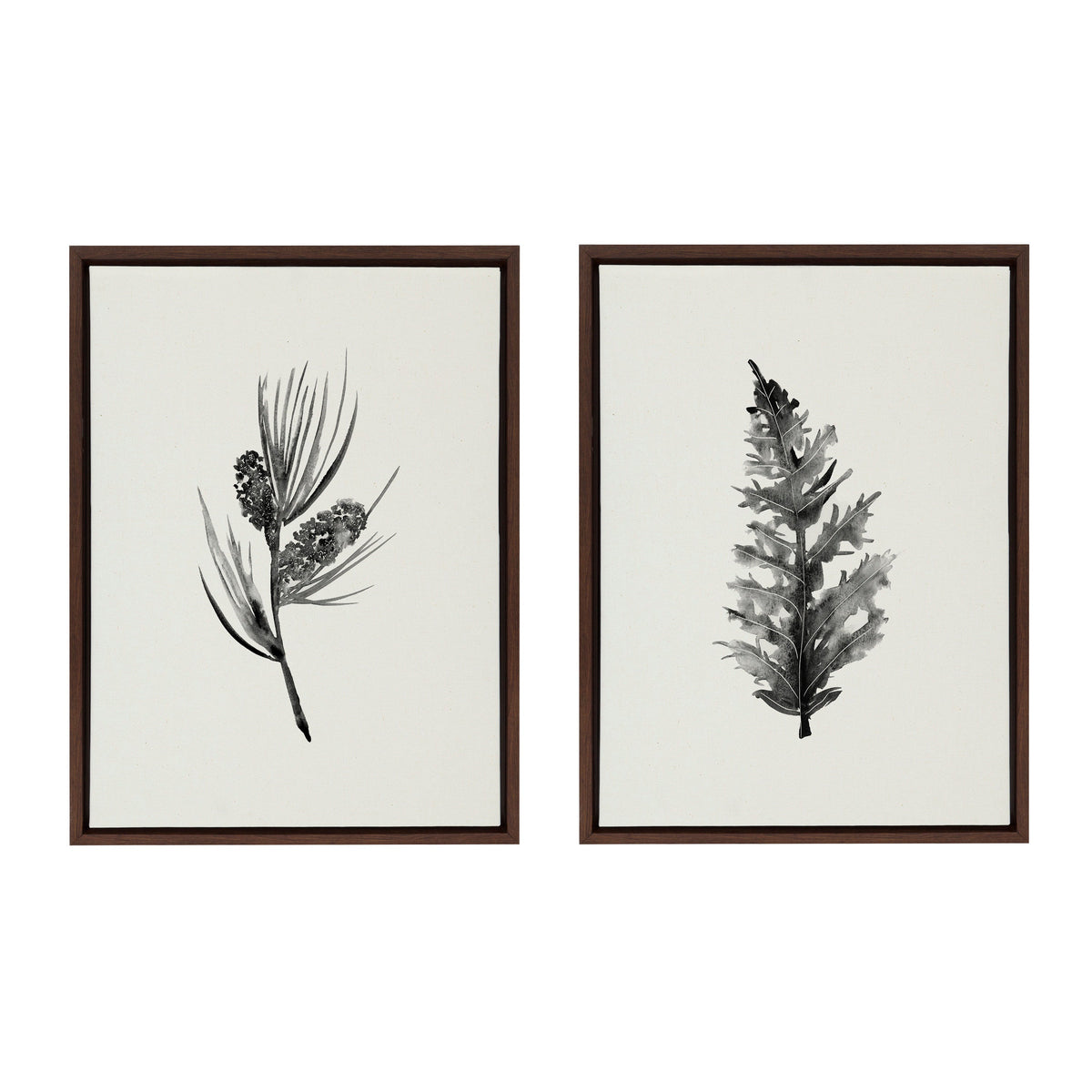 Sylvie Vintage Botanical 3 and 4 Framed Canvas Set of 2 by Teju Reval of SnazzyHues