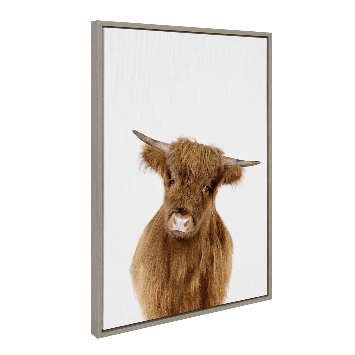 Sylvie Animal Studio Highland Framed Canvas by Amy Peterson Art Studio