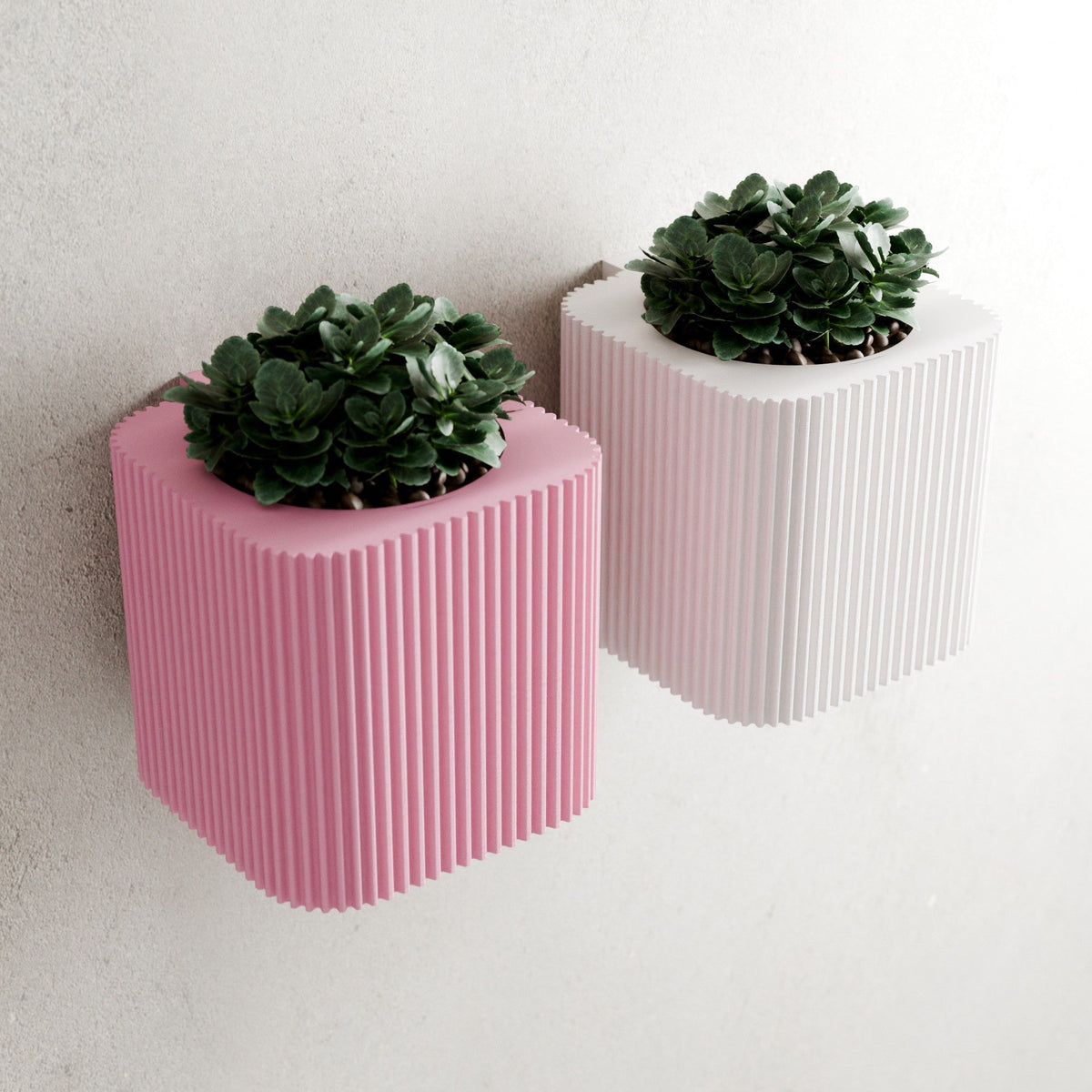 Hanging Box Spiral Planter