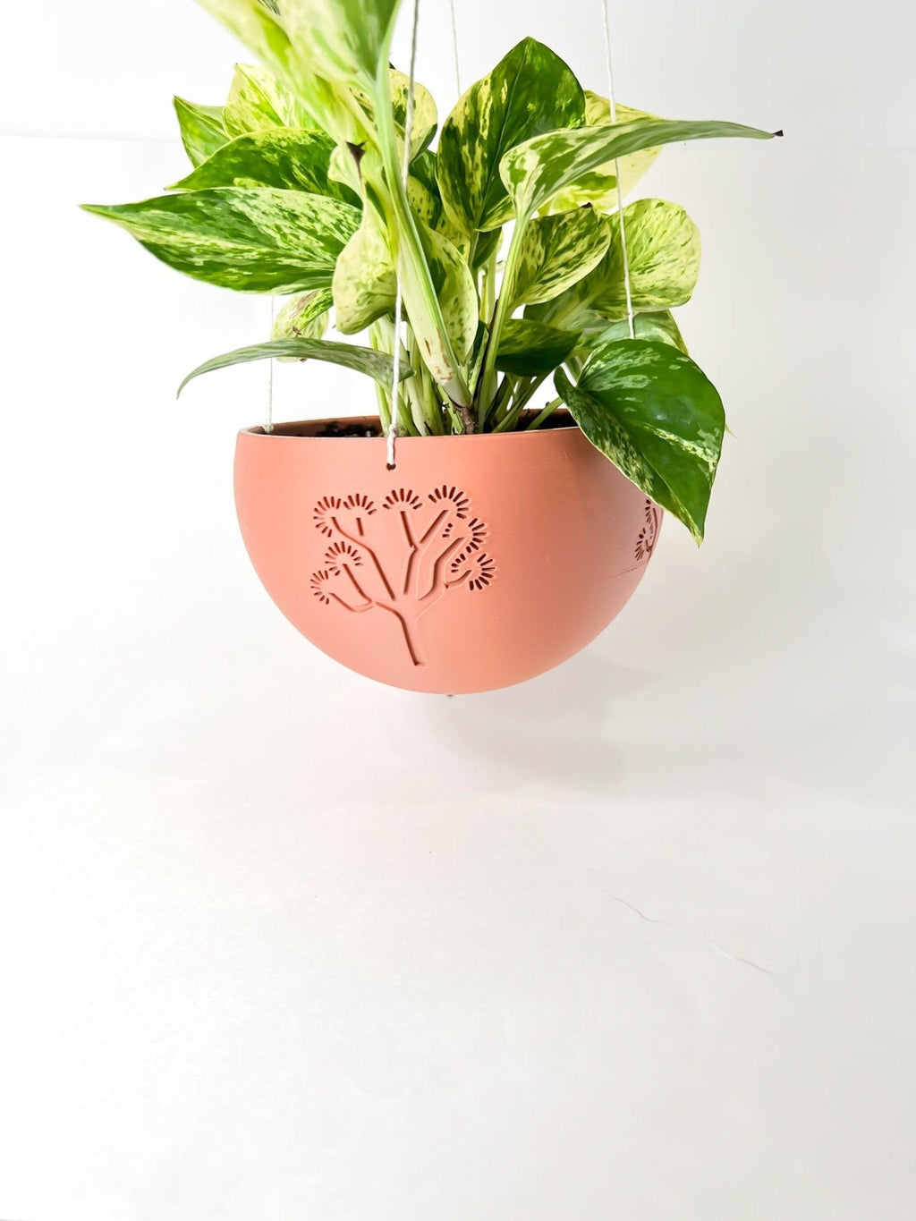Hanging Joshua Tree Planter