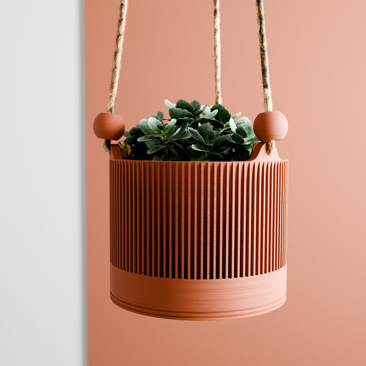 Hanging Sakura Spiral Planter