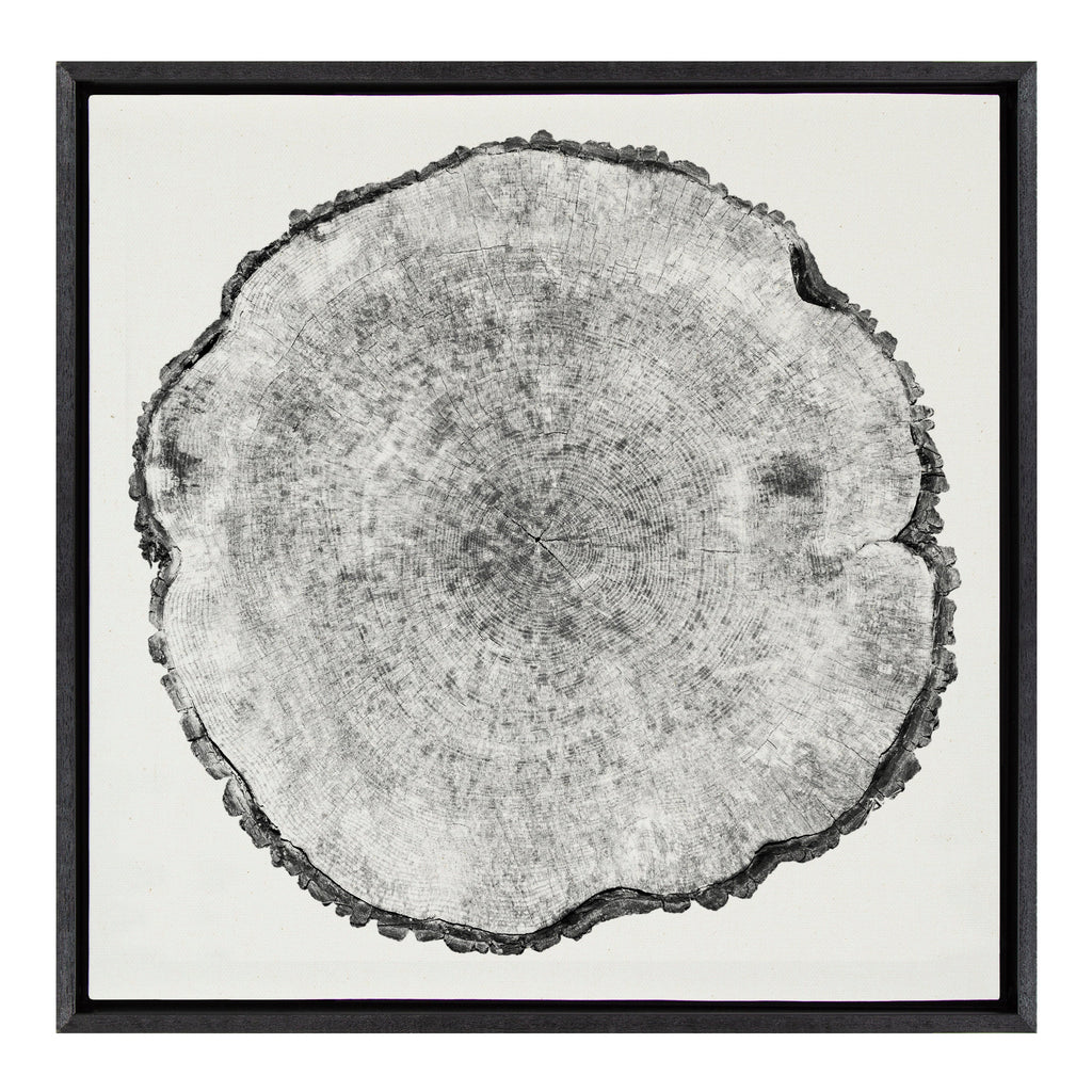 Sylvie Tree Rings Linen Framed Canvas by Emiko and Mark Franzen of F2Images