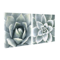 Soft Botanical Succulents Wall Art Set of 2 by The Creative Bunch Studio
