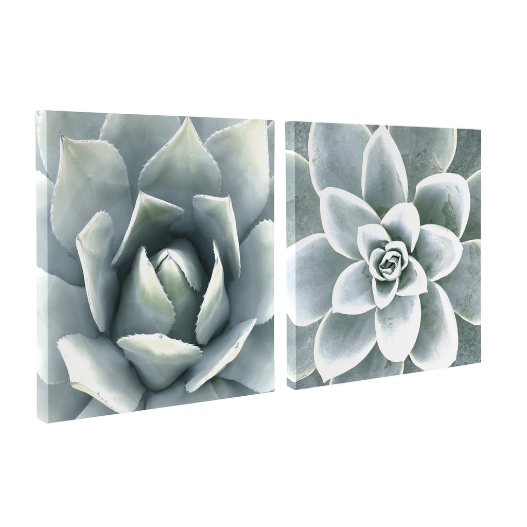 Soft Botanical Succulents Wall Art Set of 2 by The Creative Bunch Studio