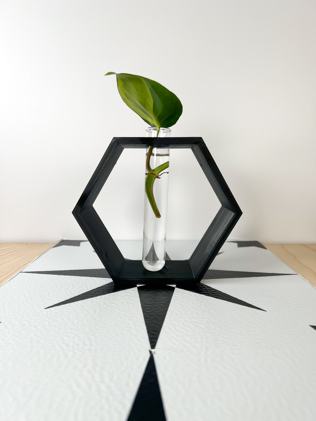 Hexagon Propagation Station
