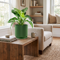 Mid-Century Ribbed Planter
