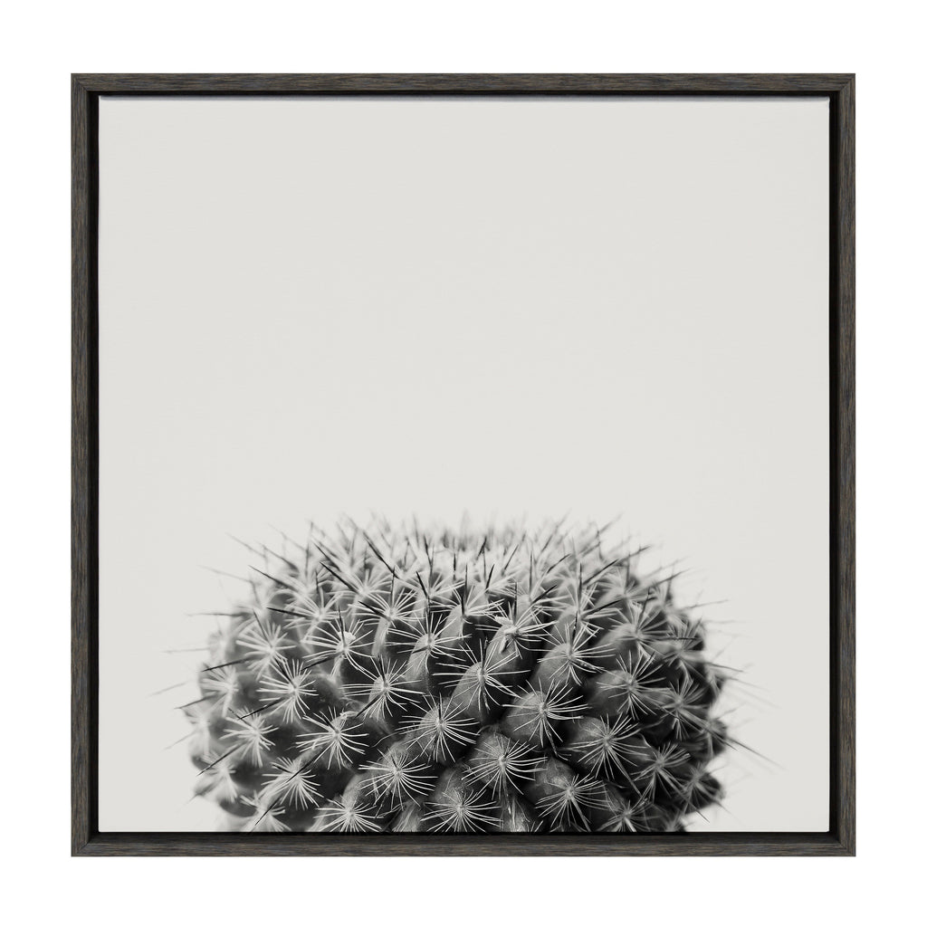 Sylvie Haze Succulent Cactus Short Framed Canvas by The Creative Bunch Studio