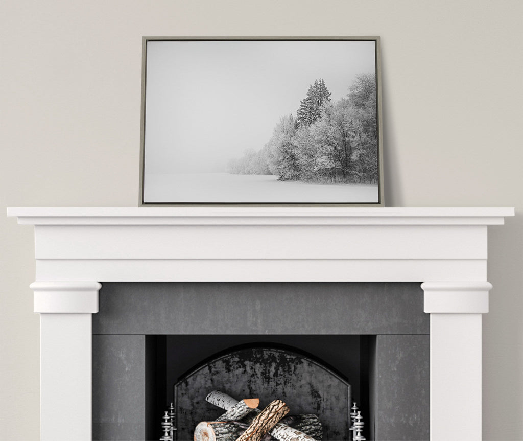 Sylvie Black and White Snow Day Framed Canvas by Emiko and Mark Franzen of F2Images