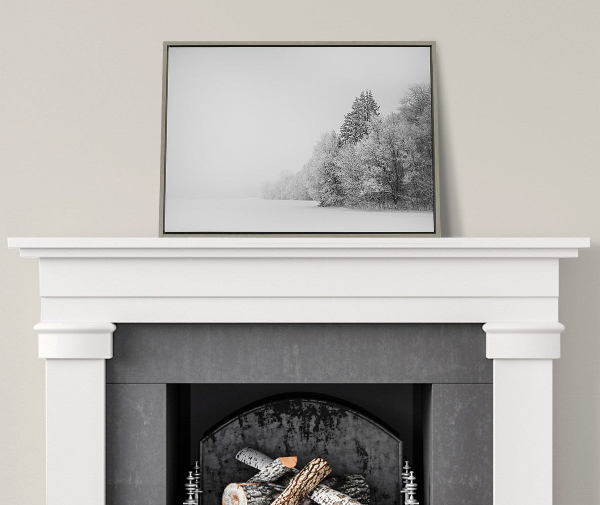 Sylvie Black and White Snow Day Framed Canvas by Emiko and Mark Franzen of F2Images