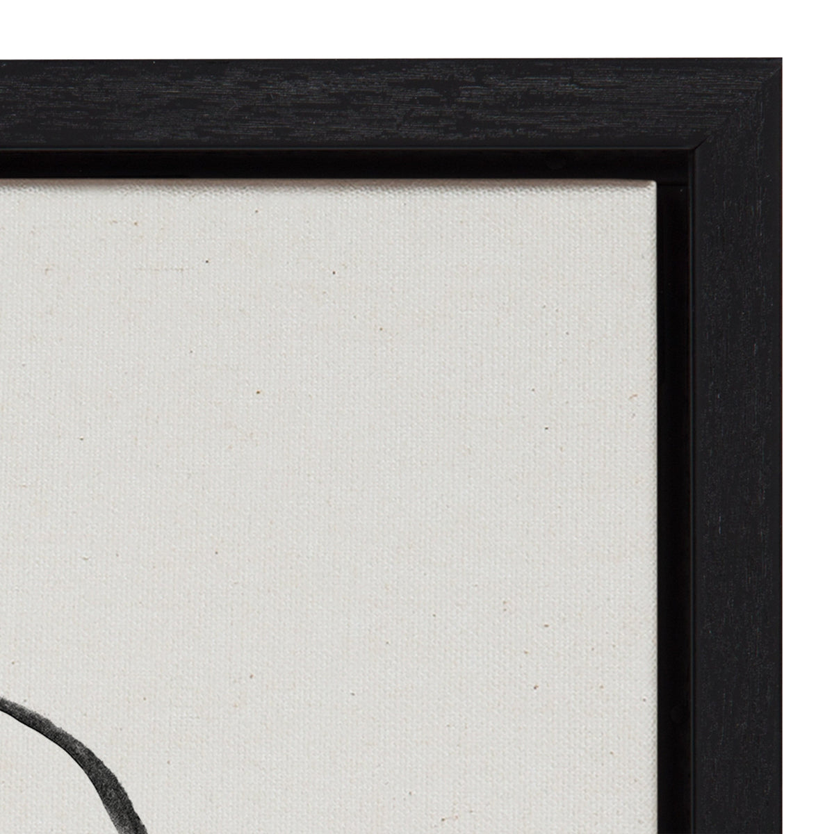 Sylvie Going in Circles Framed Textured Canvas Set of 2 by Teju Reval of SnazzyHues