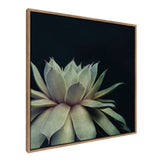 30x30