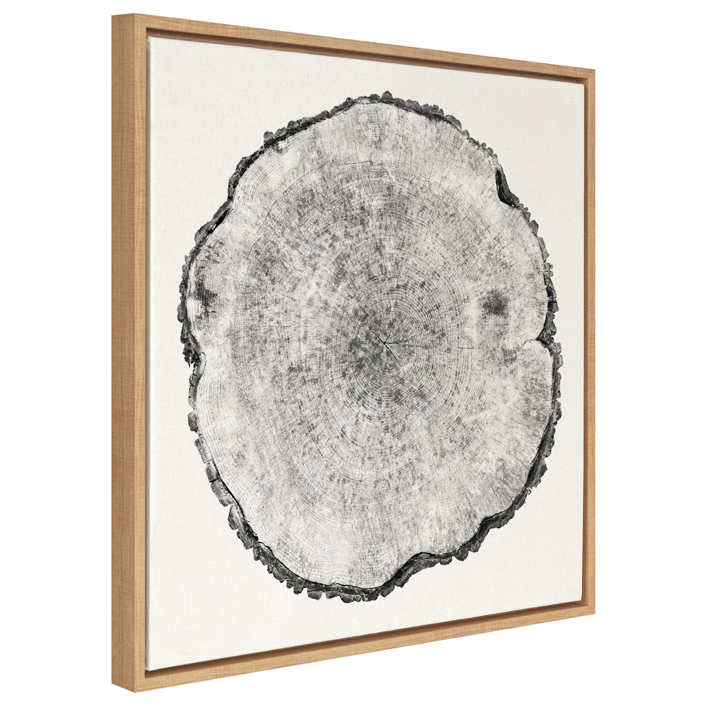 Sylvie Tree Rings Linen Framed Canvas by Emiko and Mark Franzen of F2Images