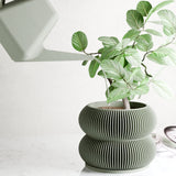 Muted Green