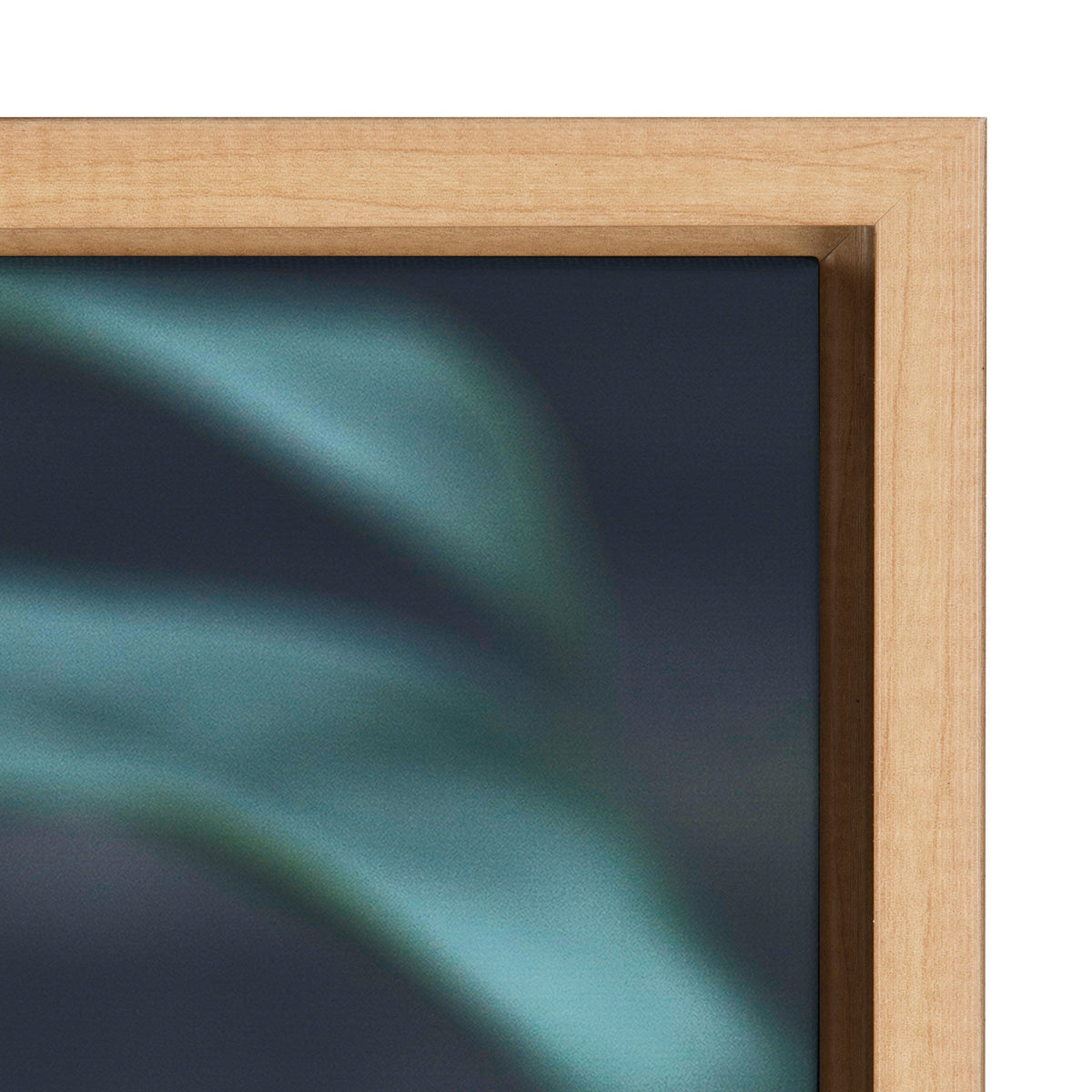 Sylvie Tropical Frond Framed Canvas by F2 Images