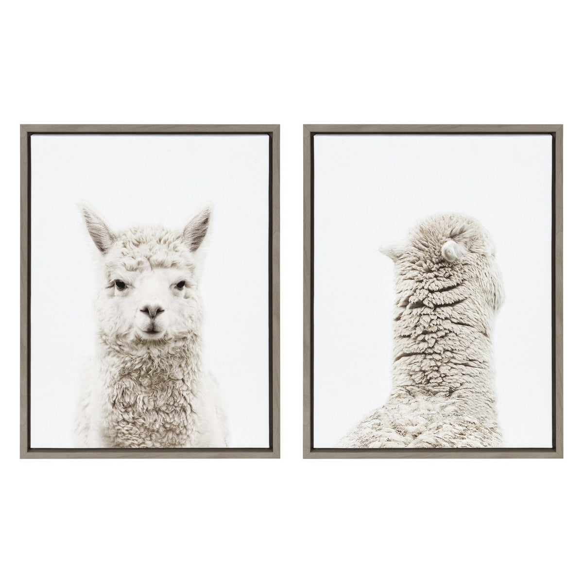 Sylvie Alpaca Front and Alpaca Back Framed Canvas Art Set of 2 by Amy Peterson Art Studio
