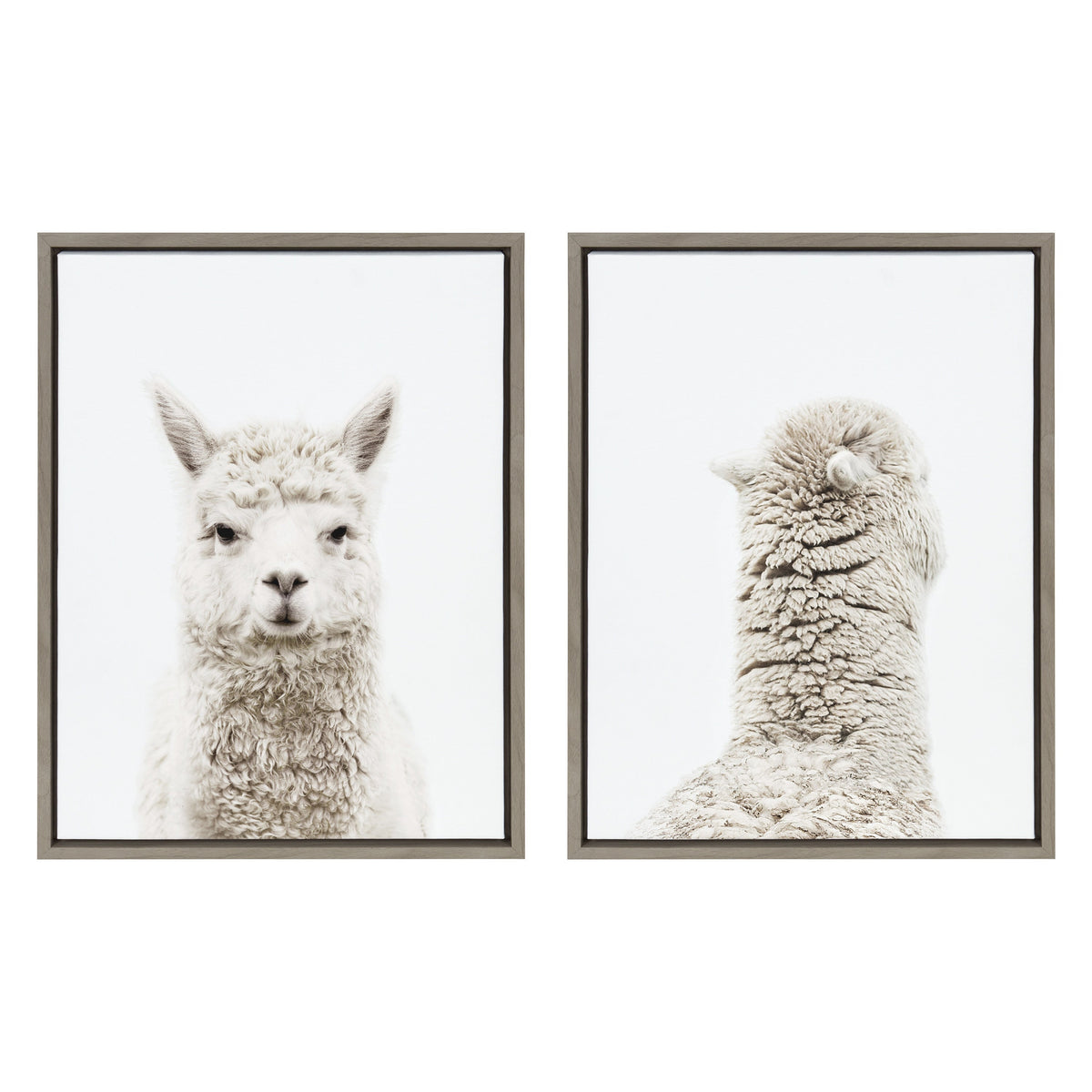 Sylvie Alpaca Front and Alpaca Back Framed Canvas Art Set of 2 by Amy Peterson Art Studio