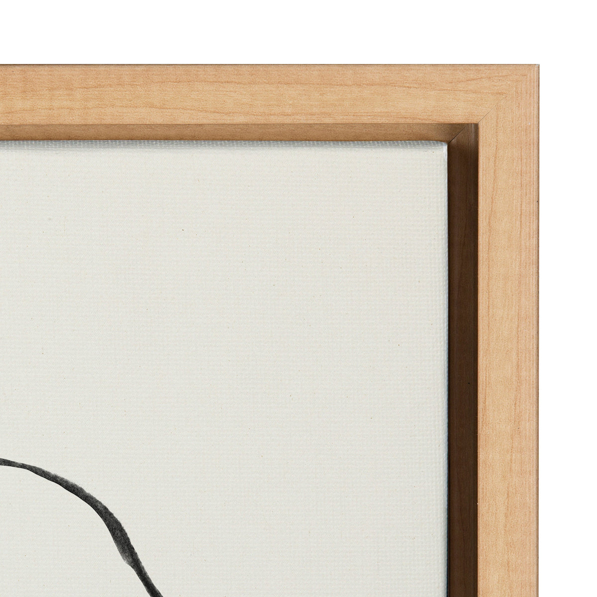 Sylvie Going in Circles Framed Textured Canvas Set of 2 by Teju Reval of SnazzyHues