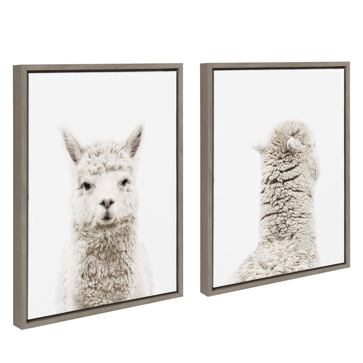 Sylvie Alpaca Front and Alpaca Back Framed Canvas Art Set of 2 by Amy Peterson Art Studio